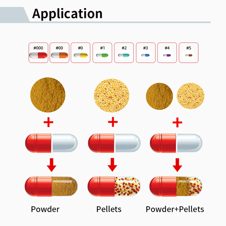 NJP-200C Fully Automatic Capsule Filling Machine